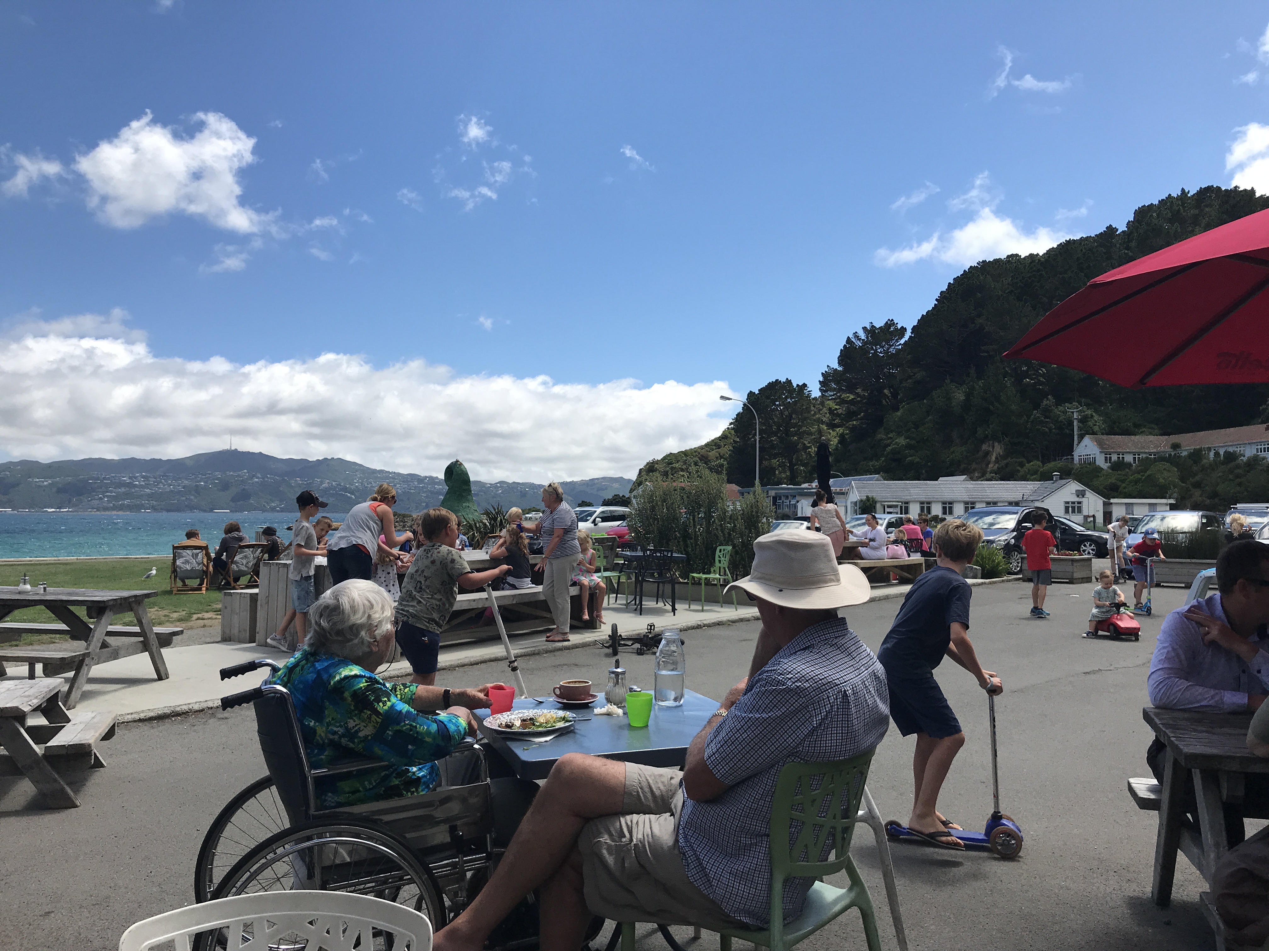 chocolate fish cafe, family travel, Wellington, 