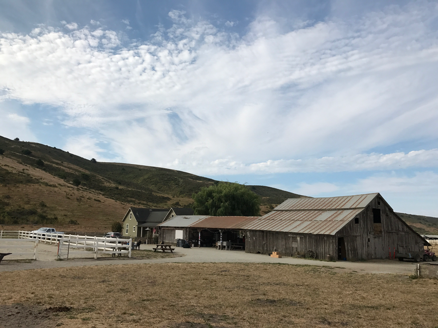 Lazy H Ranch, Half Moon Bay, road schooling, family travel