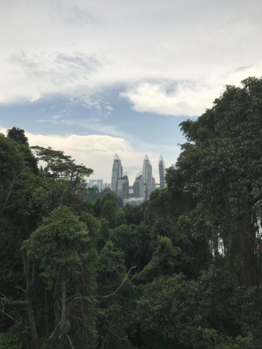 IMG_1038 Singapore