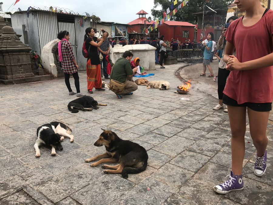 swyambunath, nepal, family travel