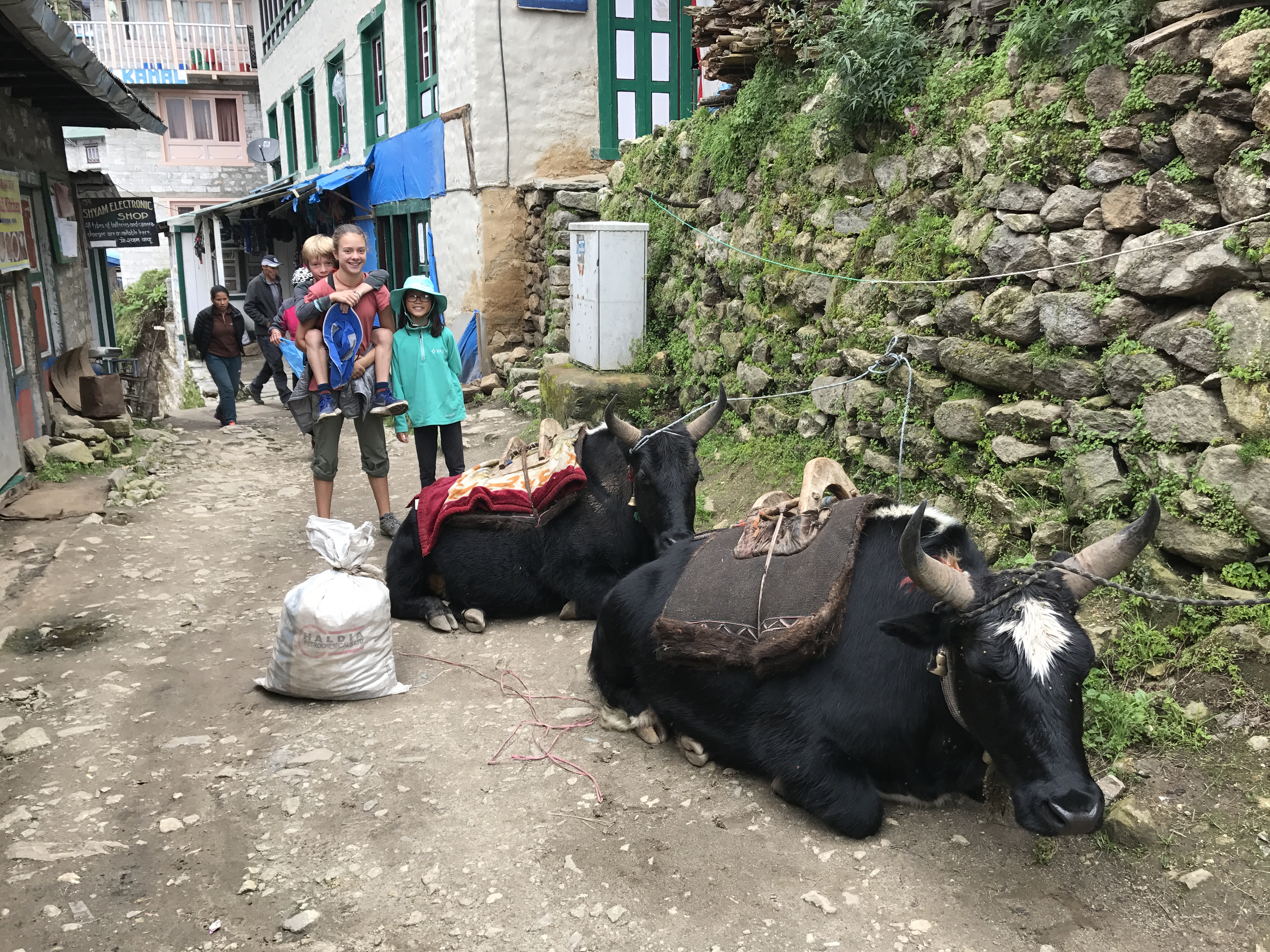 family travel, Namche, duo