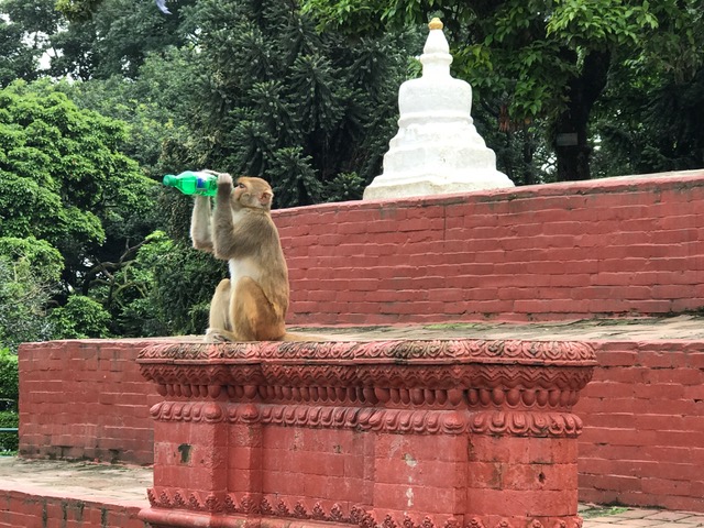 tween blogger, family travel, Nepal