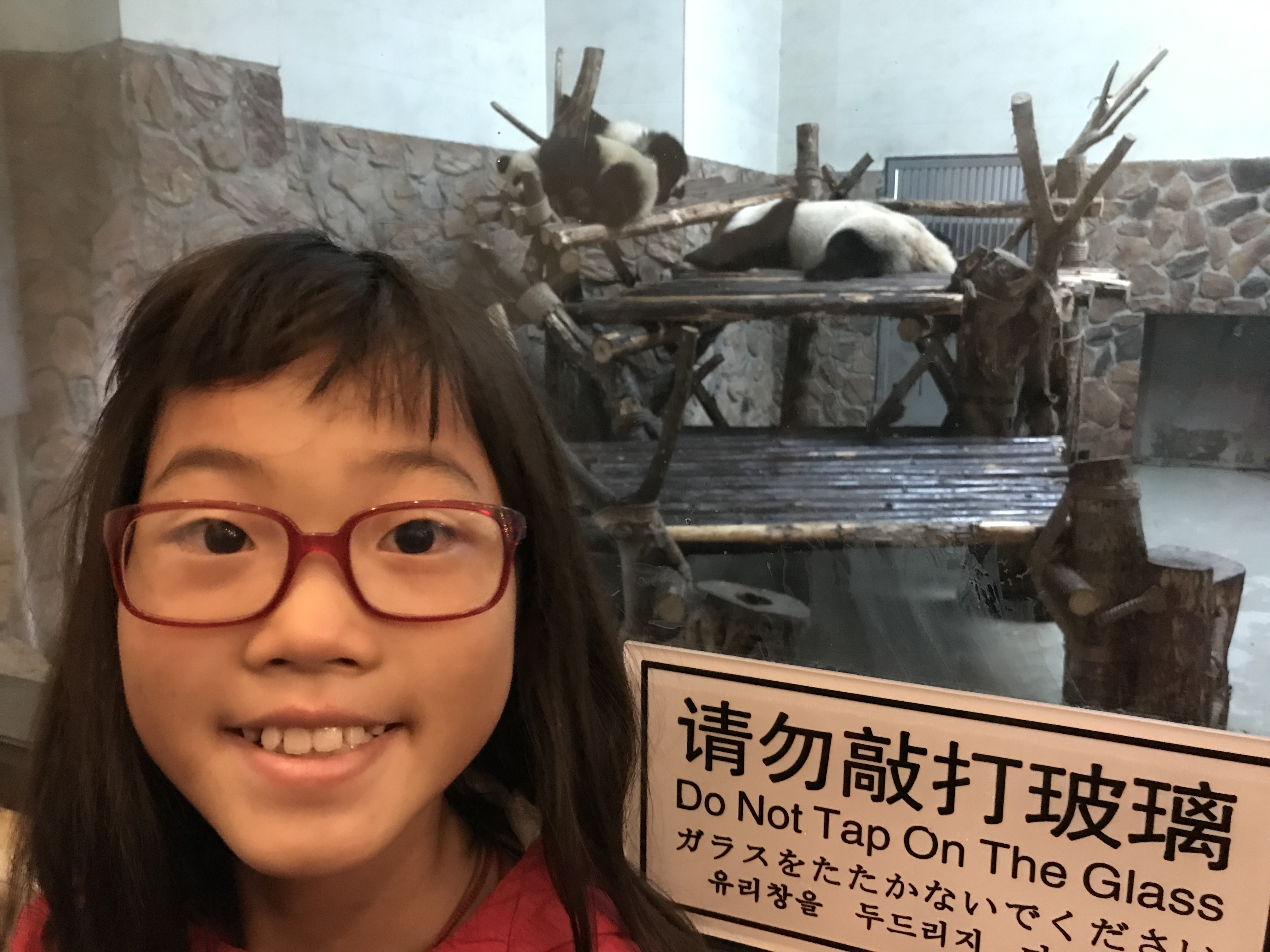 Panda Sanctuary, Chengdu