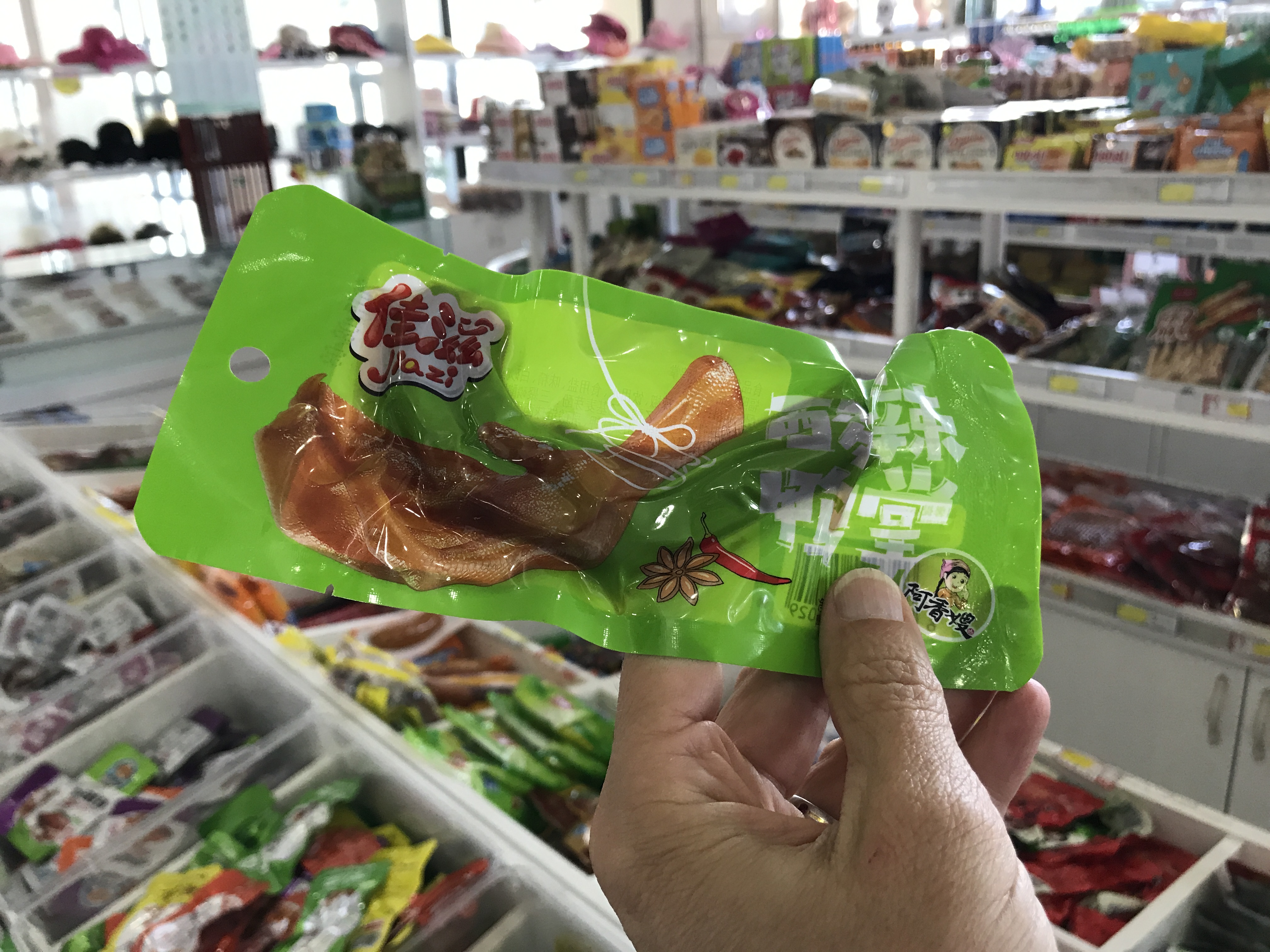 family travel, chicken feet, roadschooling, china, trains