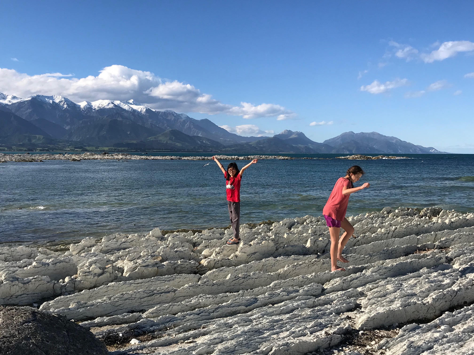 Kaikoura, family travel, New Zealand