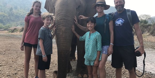 elephant nature park, chiang mai, ecotravel