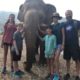 elephant nature park, chiang mai, ecotravel