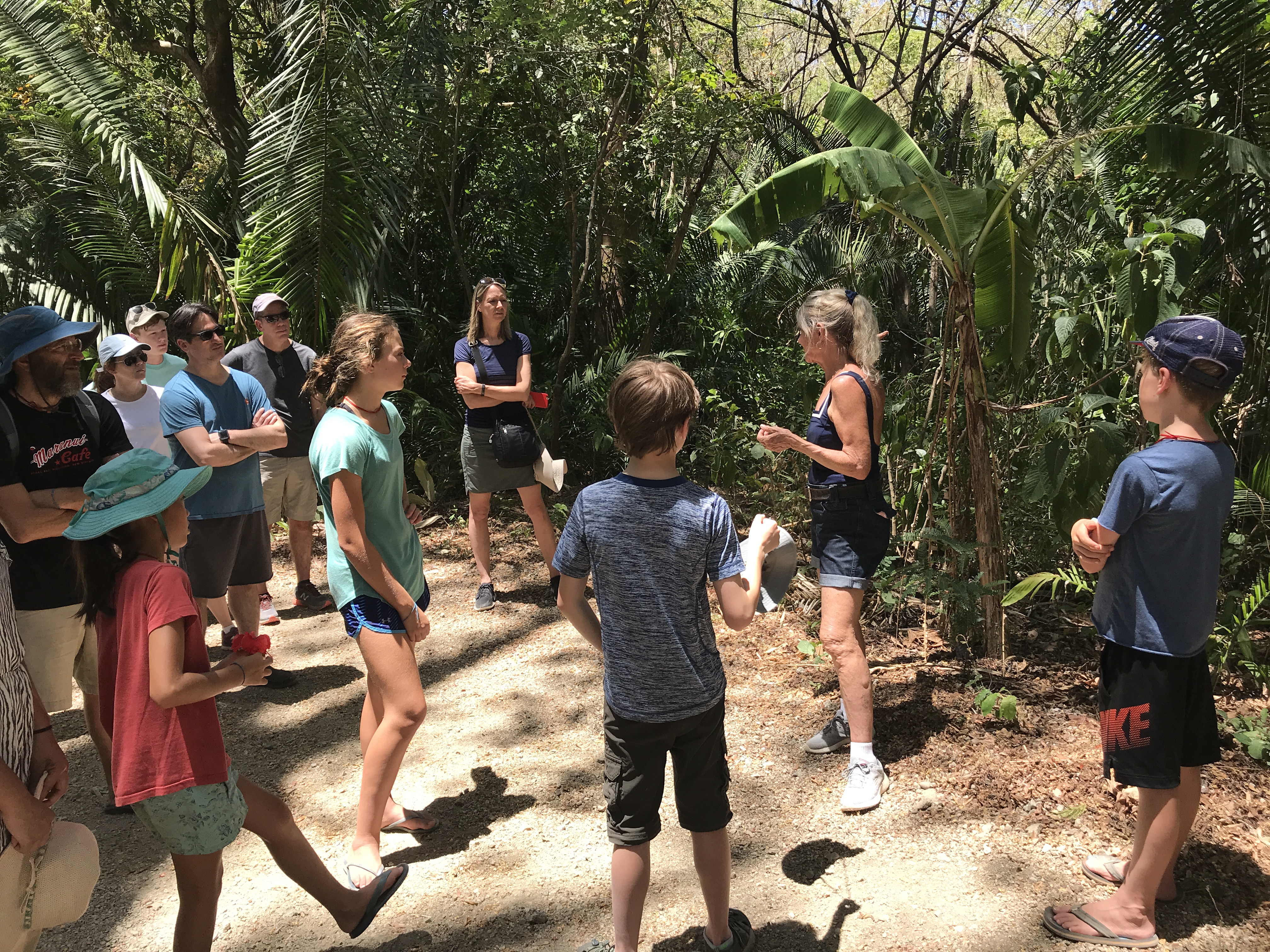 SIBU, nosara, howler monkeys, wildlife sanctuary, costa rica